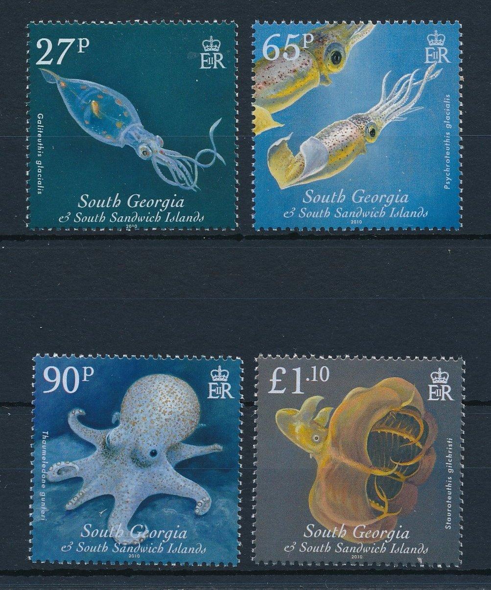 Canne spinning SQUID MANIA 15TH Zero-G Evolution MX | BS-FISHING